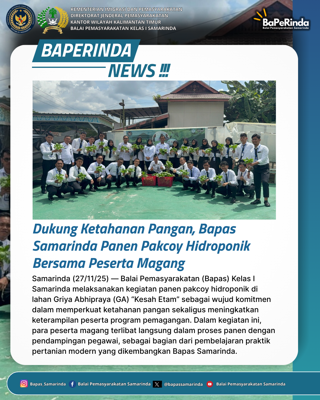Dukung Ketahanan Pangan, Bapas Samarinda Panen Pakcoy Hidroponik Bersama Peserta Magang