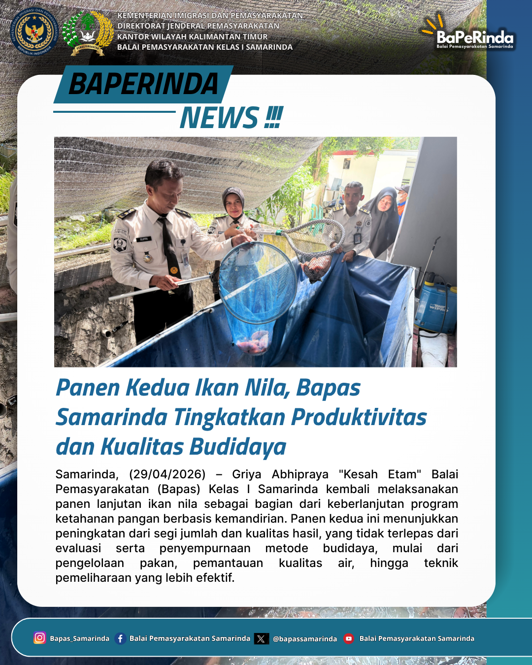 Panen Kedua Ikan Nila, Bapas Samarinda Tingkatkan Produktivitas dan Kualitas Budidaya