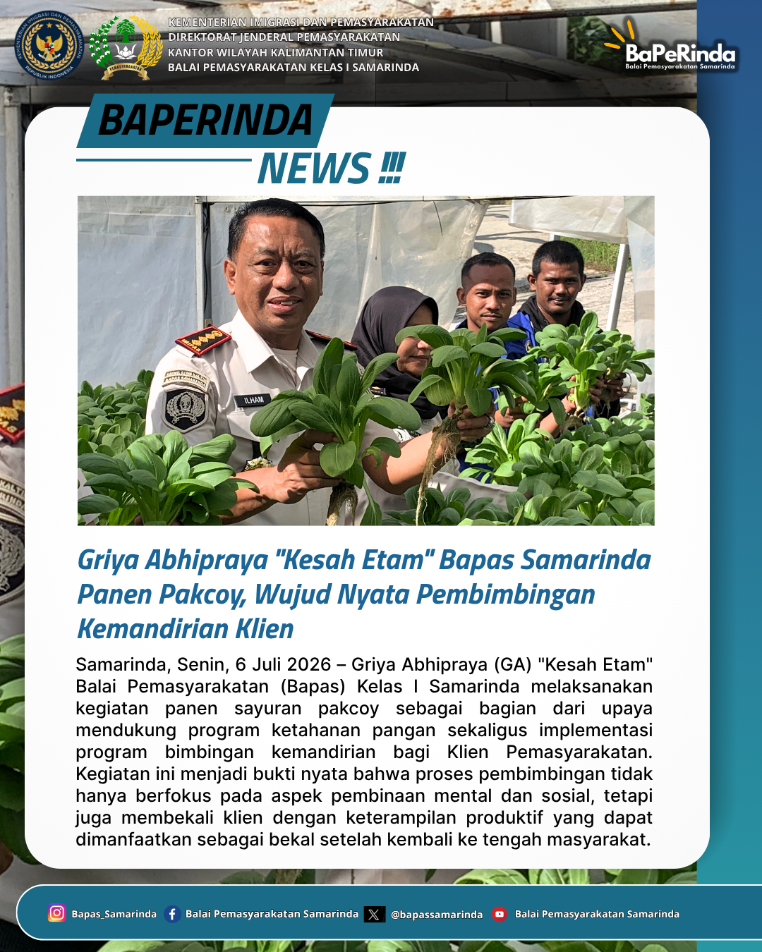 Griya Abhipraya "Kesah Etam" Bapas Samarinda Panen Pakcoy, Wujud Nyata Pembimbingan Kemandirian Klien